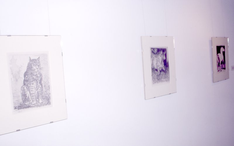 Installation view of Picasso in the Collection