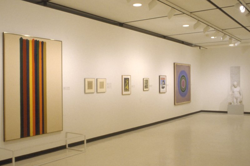 Installation view of The William S. Paley Collection