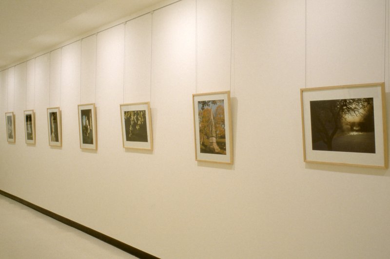 Installation view of Forest Lawn: Buffalo History Preserved