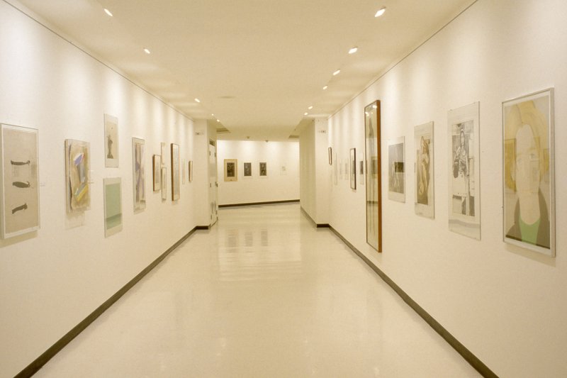 Installation view of A Passion for Prints: The Norton Family Collection