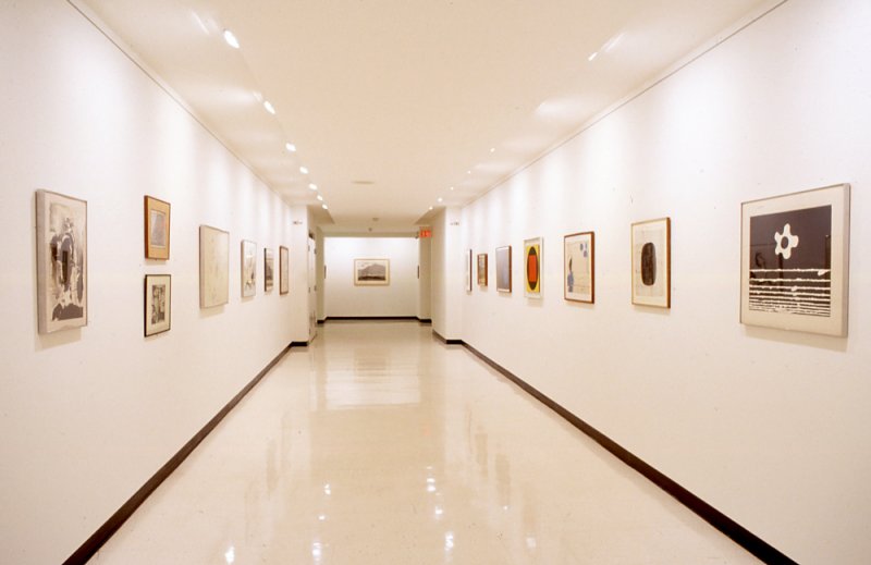 Installation view of Following a Line: Drawings from the Permanent Collection, Part One