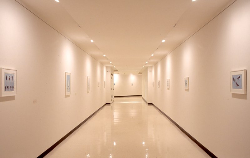 Installation view of Laylah Ali: Paintings on Paper