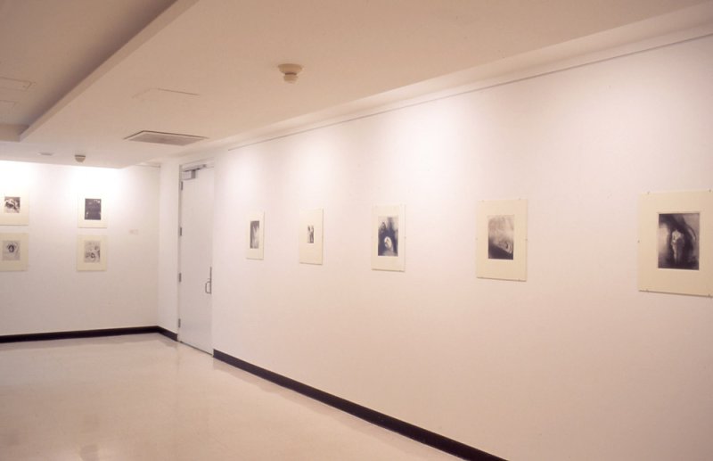 Installation view of Odilon Redon (1840-1916): The Temptation of Saint Anthony