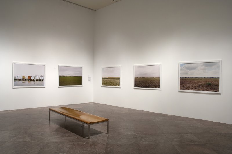 Installation view of Victoria Sambunaris: Taxonomy of a Landscape