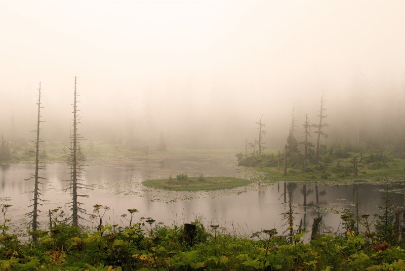 Anika Fors's Peter Rabbit Lake