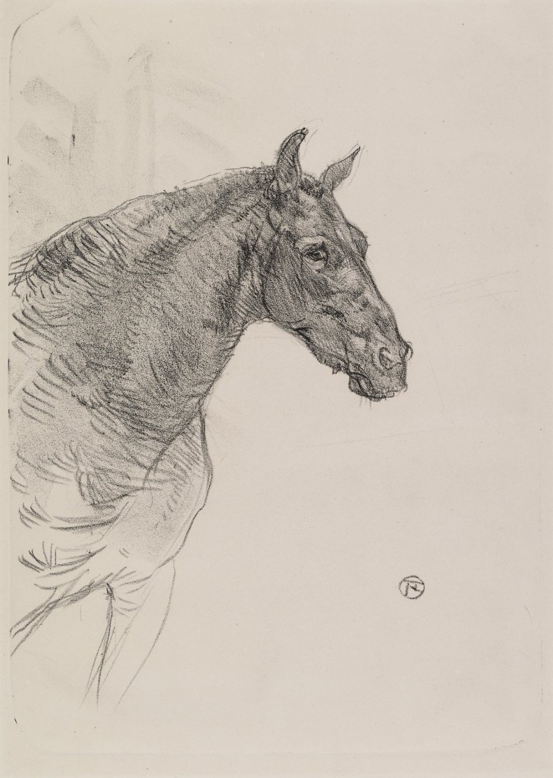 Henri de Toulouse-Lautrec's lithograph Le Poney Philibert,1898, depicting a horse's head