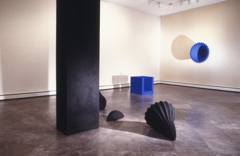 Installation view of Anish Kapoor