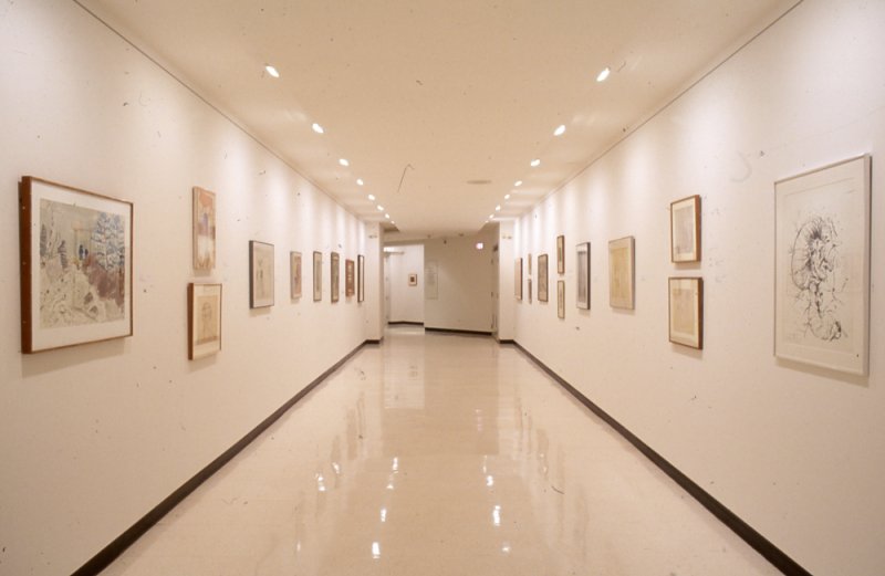 Installation view of Following a Line: Drawings from the Permanent Collection, Part One