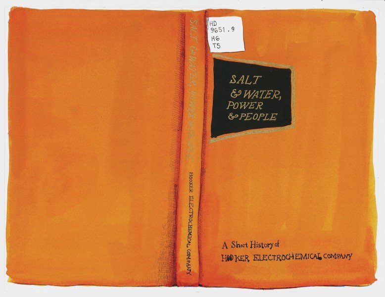 Joan Linder's Salt, Water, Power, People 1 from the series "Toxic Archives," 2013–16. 