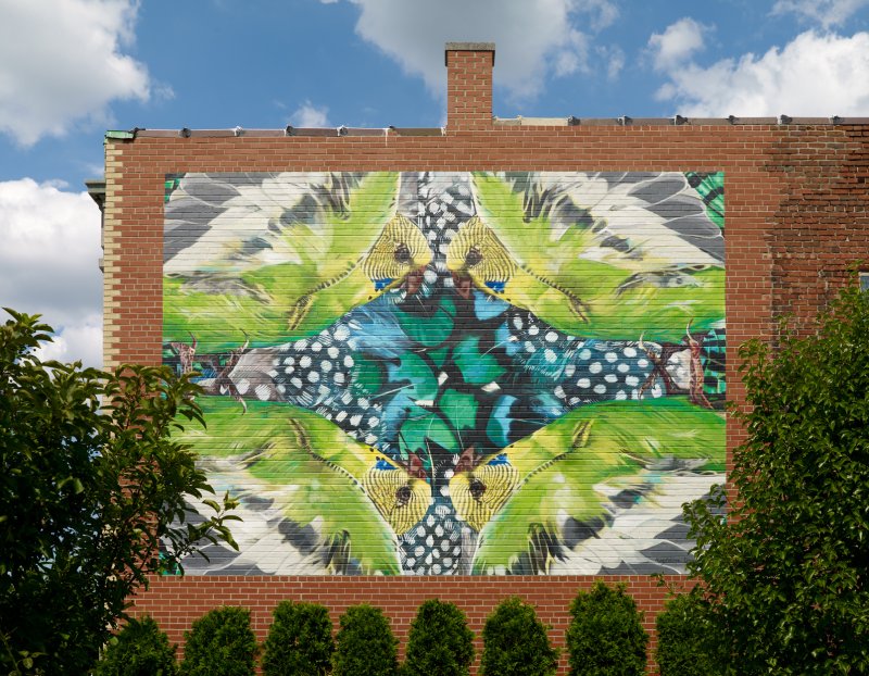 Augustina Droze's Green Kaleidoscope at 2303 Main Street