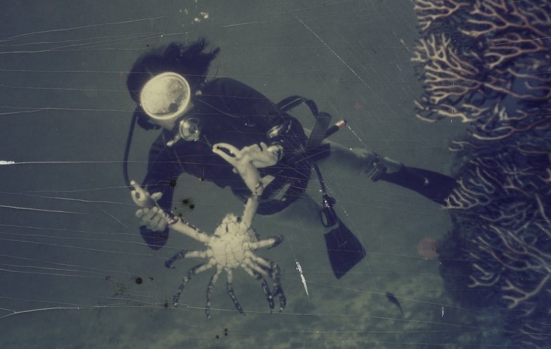 A person underwater in diving gear holds a large crab by its claws