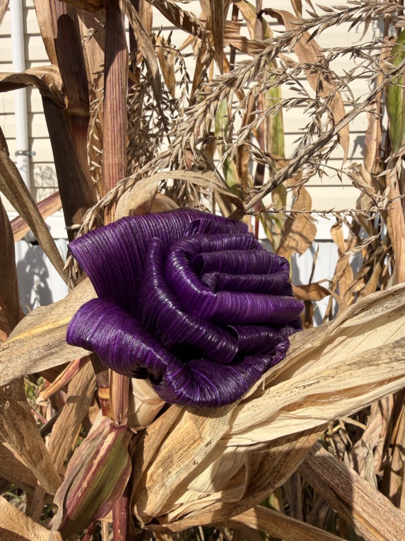 Cornhusk flowers