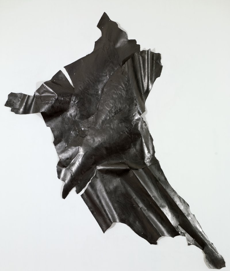 Nancy Rubins's Drawing, 2007