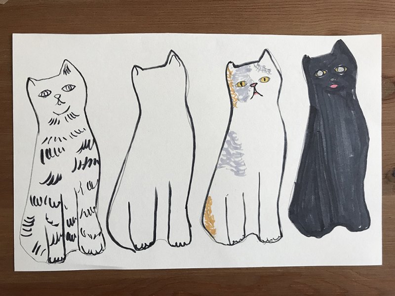 A drawing of four cats on a white paper - one black and white cat, one all-white cat, one white cat with brown spots, and one black cat