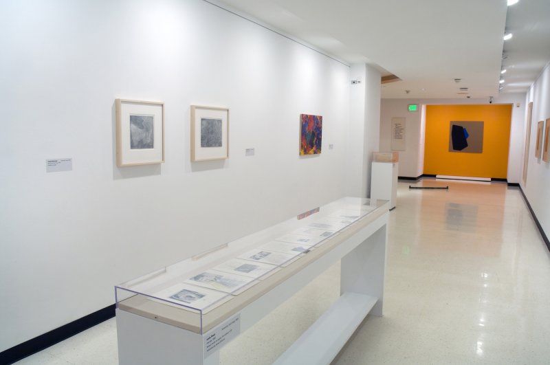 Installation view of Fifty Works for Fifty States: The Dorothy and Herbert Vogel Collection