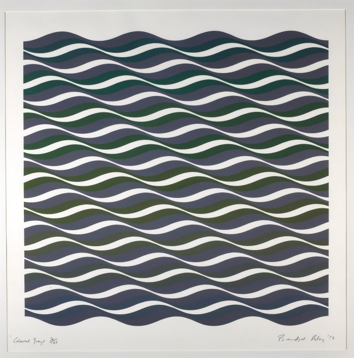 Coloured Greys III by Bridget Riley