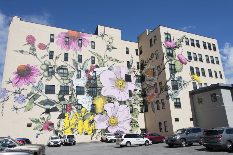 Louise Jones’s Wildflowers for Buffalo, 2018 - a large mural featuring pink and yellow wildflowers on the side of a beige building