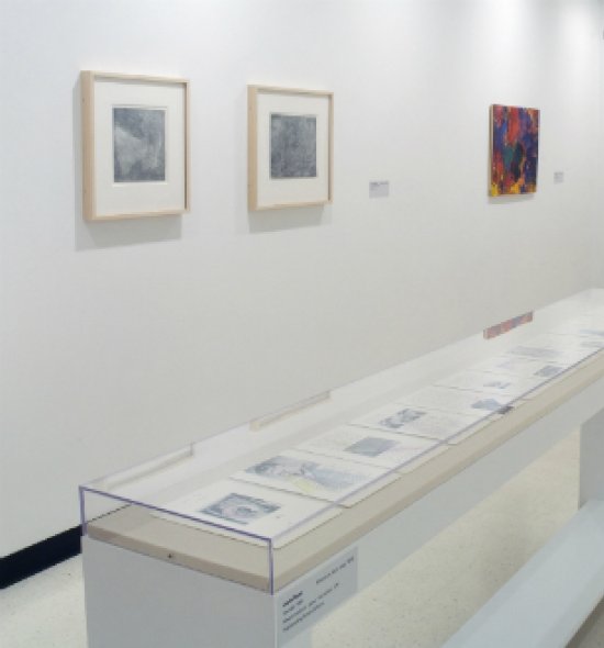 Installation view of Fifty Works for Fifty States: The Dorothy and Herbert Vogel Collection (January 22–May 9, 2010).