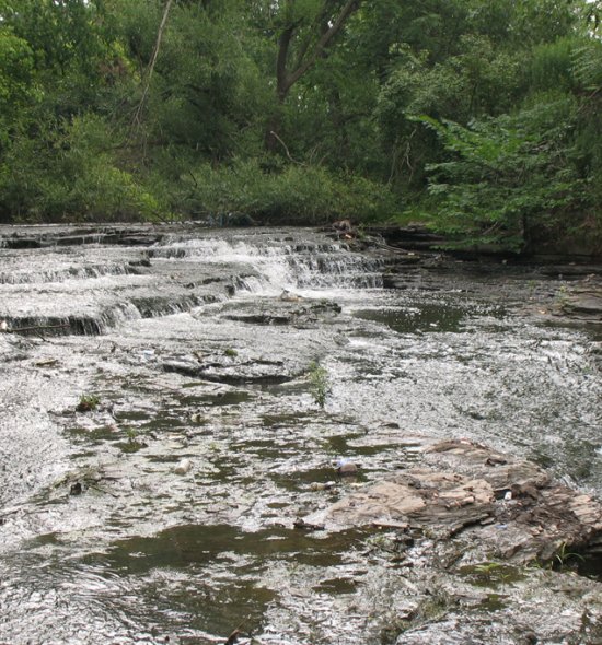 Sqajaquada Creek