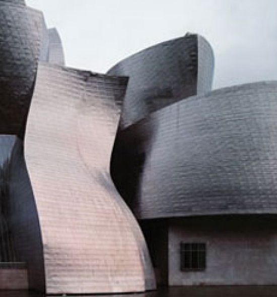 Detail of the exterior of the Guggenheim Bilbao museum