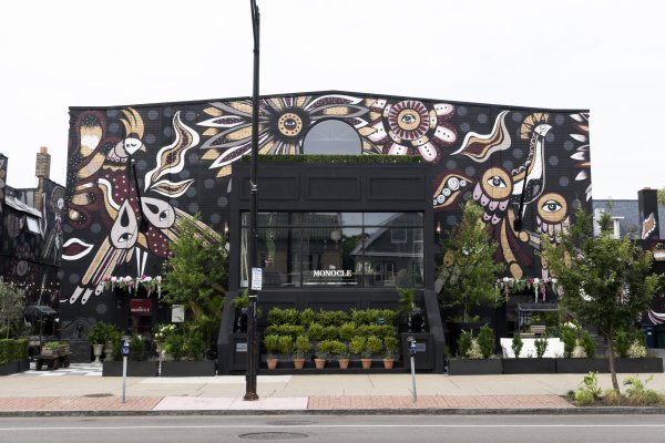 Ola Volo The Midnight Garden | Buffalo AKG Art Museum