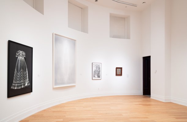 Adam Fuss: Visual Resonance | Buffalo AKG Art Museum