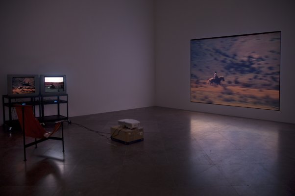 Bruce Nauman's Green Horses, 1988